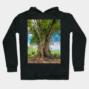 Beautiful Old Balete Tree, Philippines Hoodie